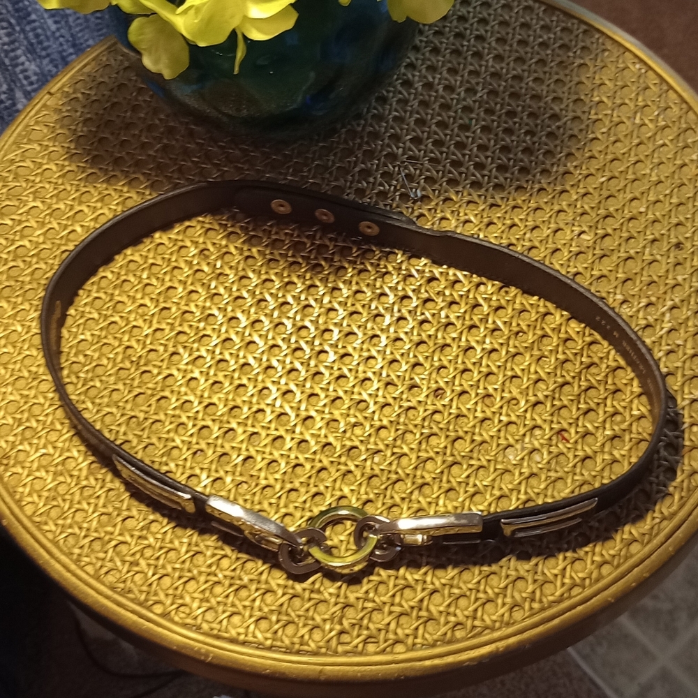 Leather and chrome color belt